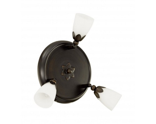 Спот Danielle 91431 Eglo