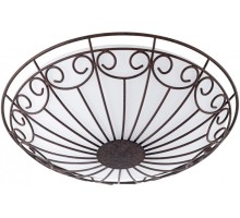 Настенно-потолочный светильник Colti 92143 Eglo