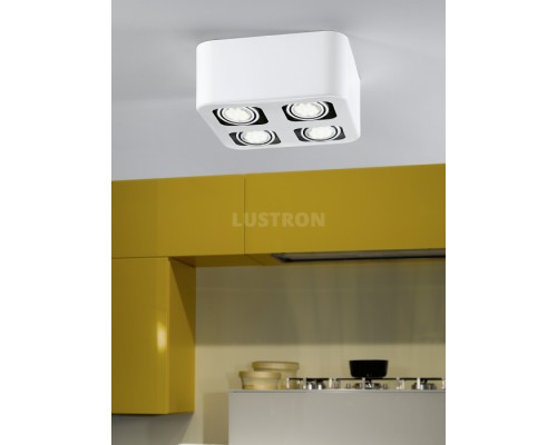 Потолочный светильник Toreno 93013 Eglo