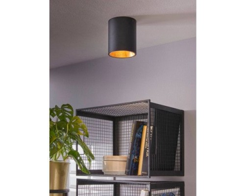 Потолочный светильник Polasso 94502 Eglo