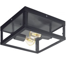 Потолочный светильник уличный Alamonte 1 94832 Eglo