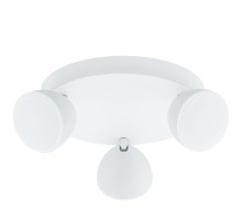 Спот Calvos 96601 Eglo