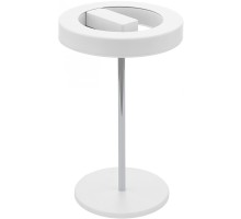 Интерьерная настольная лампа Alvendre 96658 Eglo