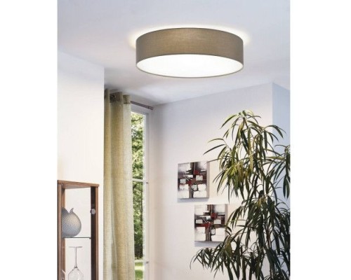 Настенно-потолочный светильник Pasteri 97612 Eglo