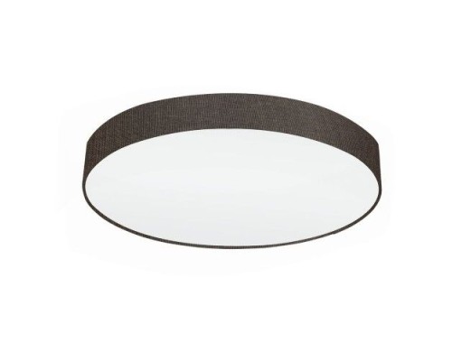 Настенно-потолочный светильник Pasteri 97618 Eglo