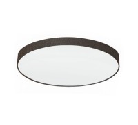 Настенно-потолочный светильник Pasteri 97623 Eglo