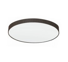 Настенно-потолочный светильник Pasteri 97623 Eglo