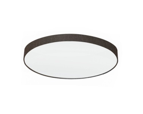 Настенно-потолочный светильник Pasteri 97623 Eglo