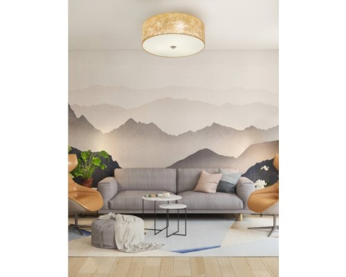 Потолочный светильник Viserbella 97642 Eglo