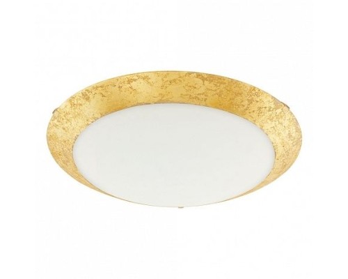 Настенно-потолочный светильник Montenovo 98023 Eglo