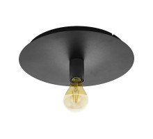 Настенно-потолочный светильник Passano 1 98155 Eglo