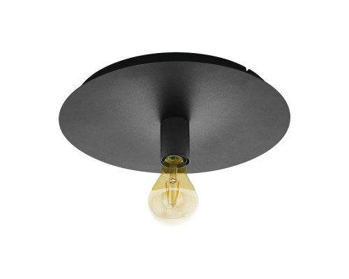 Настенно-потолочный светильник Passano 1 98155 Eglo