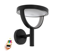 Настенный светильник уличный Francari-c 98234 Eglo