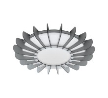 Настенно-потолочный светильник Arapiles 98262 Eglo