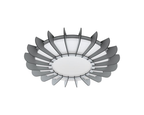 Настенно-потолочный светильник Arapiles 98262 Eglo