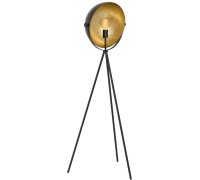 Торшер Darnius 98458 Eglo