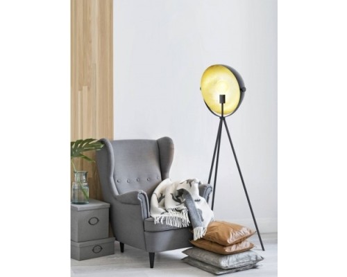 Торшер Darnius 98458 Eglo