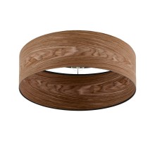 Потолочный светильник Cannafesca 98589 Eglo