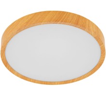 Потолочный светильник Musurita 98602 Eglo