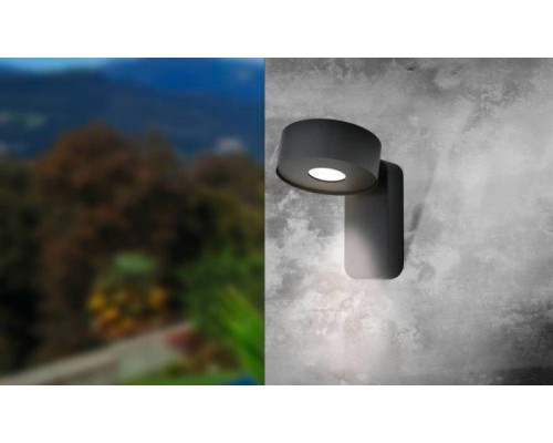 Настенный светильник уличный Palosco 98737 Eglo