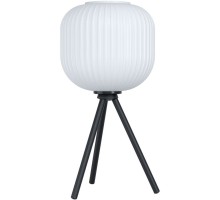 Настольная лампа Mantunalle 99369 Eglo