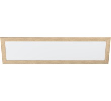 Потолочный светильник Piglionasso 99473 Eglo