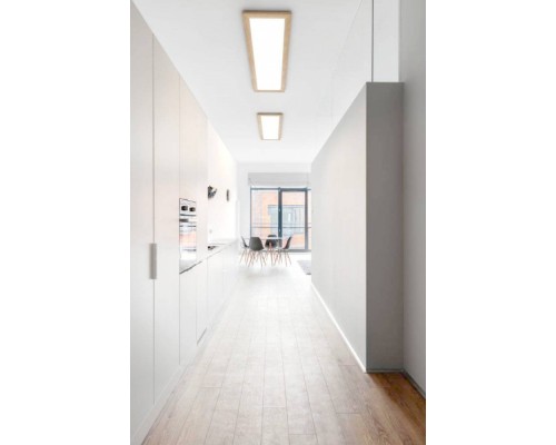 Потолочный светильник Piglionasso 99473 Eglo