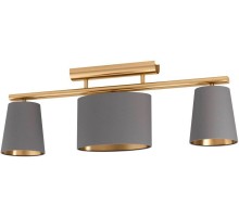 Потолочный светильник Almeida 2 99486 Eglo