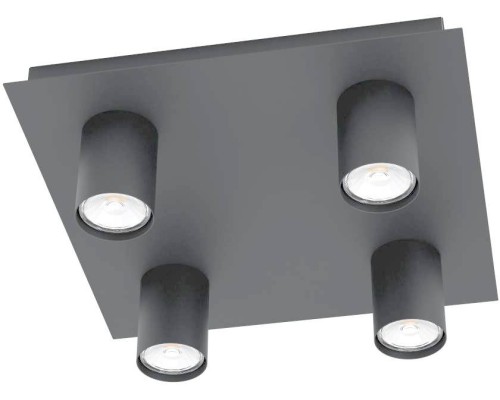 Потолочный светильник Valcasotto 99516 Eglo