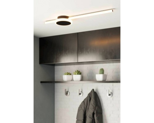 Настенно-потолочный светильник Sarginto 99608 Eglo