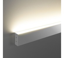 Настенный светильник 101-100-30-53 Elektrostandard