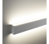 Настенный светильник 101-100-40-128 Elektrostandard