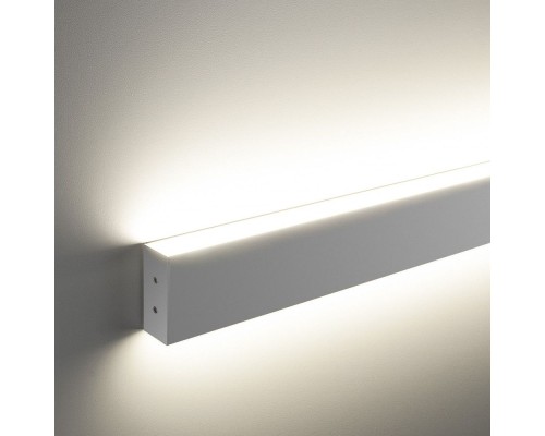 Настенный светильник 101-100-40-128 Elektrostandard