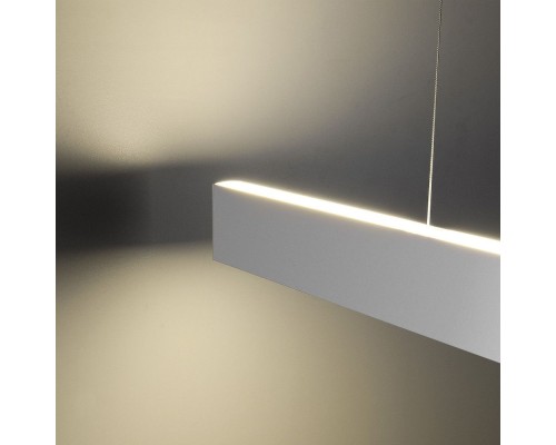 Подвесной светильник 101-200-40-128 Elektrostandard