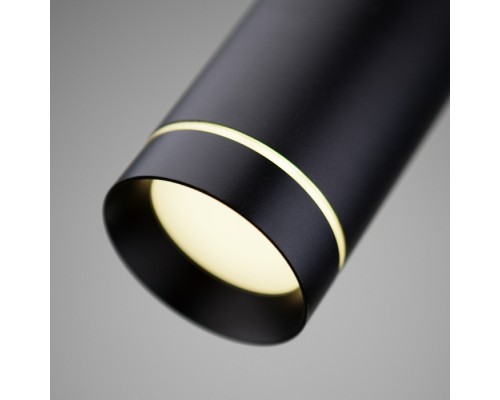 Уличный светильник подвесной DLR023 35084/H черный Elektrostandard