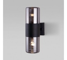 Настенный светильник уличный Roil 35125/D Elektrostandard