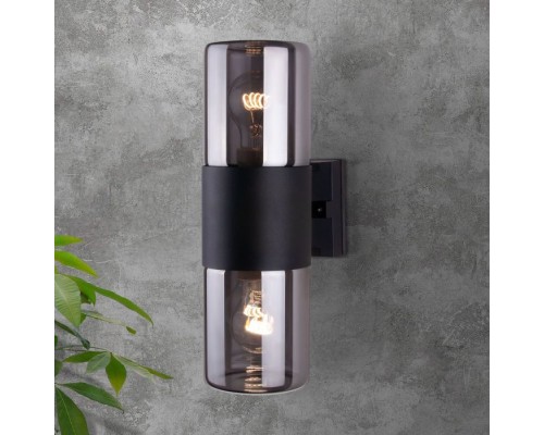 Настенный светильник уличный Roil 35125/D Elektrostandard