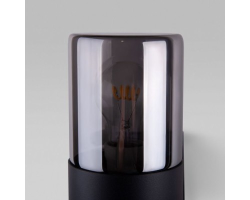 Настенный светильник уличный Roil 35125/D Elektrostandard