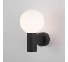 Настенный светильник уличный Sfera 35126/D черный Elektrostandard