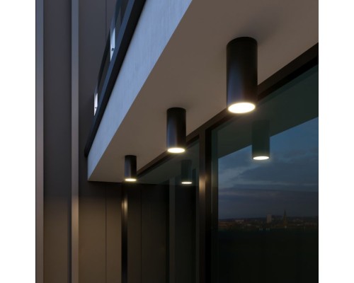 Потолочный светильник уличный 35129/H черный Elektrostandard