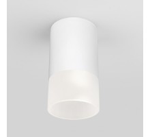 Потолочный светильник уличный Light LED 35139/H белый Elektrostandard