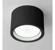 Потолочный светильник уличный Light 35144/H черный Elektrostandard