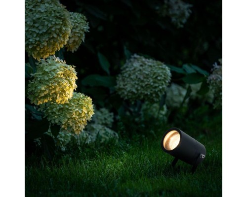 Грунтовый светильник Landscape/2 35146/S черный Elektrostandard