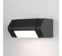 Настенный светильник уличный DORS 35163/D черный Elektrostandard