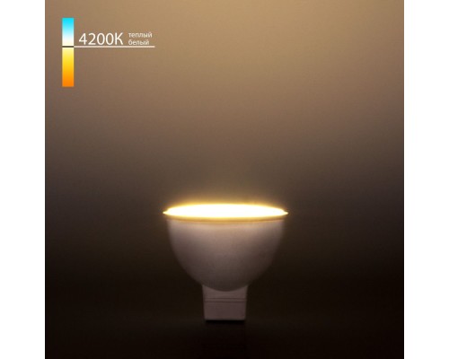 Лампа светодиодная BLG5302 Elektrostandard