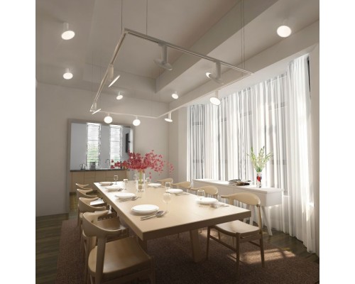 Спот Brain DLS029 Elektrostandard