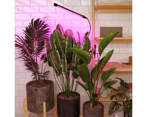 Настольная лампа для растений FT-004 чёрный Elektrostandard