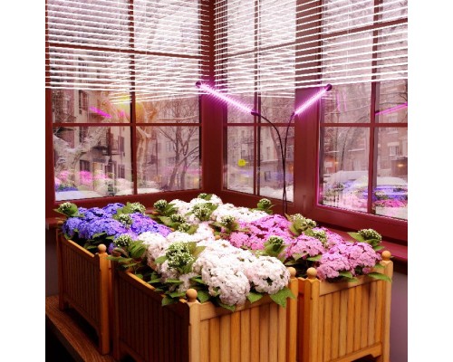 Настольная лампа для растений FT-005 чёрный Elektrostandard