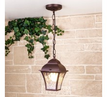 Уличный подвесной светильник Apus GL 1009H Elektrostandard