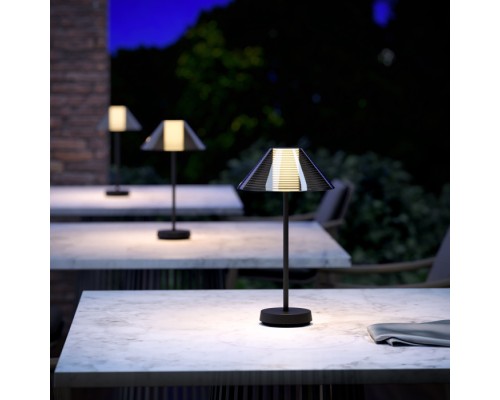 Уличная настольная лампа Mistery TL70210 Elektrostandard